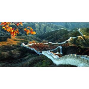 Wholesale Customized 3d lenticular picture 3D flip printing PP plastic picture