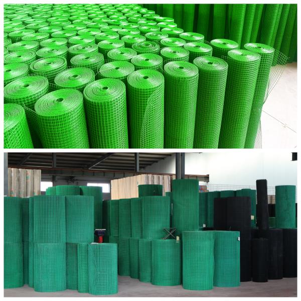 10*10mm 15*15mm PVC Coated Welded Mesh Welded Cage Wire Poultry Netting