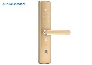 China Multi Functional Alexa Enabled Smart Lock With Numeric Keypad Hidden IC Card Reader on sale