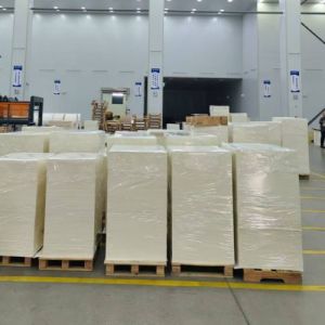 Waterproof Food Grade Biodegradable Disposable PE Single Coated Paper Cup Raw