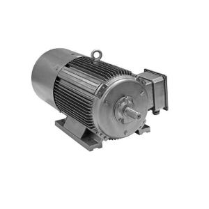 IP55 Ultra High Efficiency Electric Motor , YE4 Series 3 Phase Induction Motor