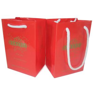 Professional Red Delicate Paper rope handled Carrier Bag Printing Service for