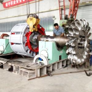 High Voltage Pelton Hydraulic Turbine Generator 6-10kV Rated Voltage 500-3000r