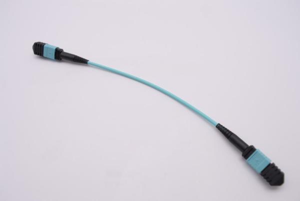 Quality MTP to MTP patch cable,mtp to mtp cable with mtp apc connector 12 24 strand fo patch cord, data center solution provider for sale