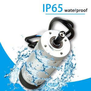 Waterproof IE4 24 Volt Dc Servo Motor 2000RPM For Hotel Turnstile