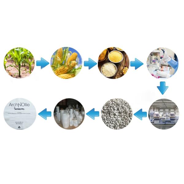 Frosted Biodegradable Packaging Bag