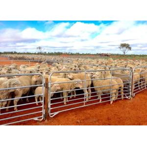 Portable Sheep Panels / Sheep Yard Panels Avoid Small Sheep Leave Out