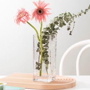 Square Clear Shaped Glass Vases Machine Pressed 7.8 Inch Height Modern Simple