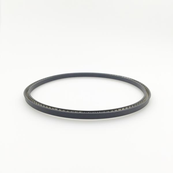Customizable Sophisticated Structure Spring Energized PTFE Seal for All Industries