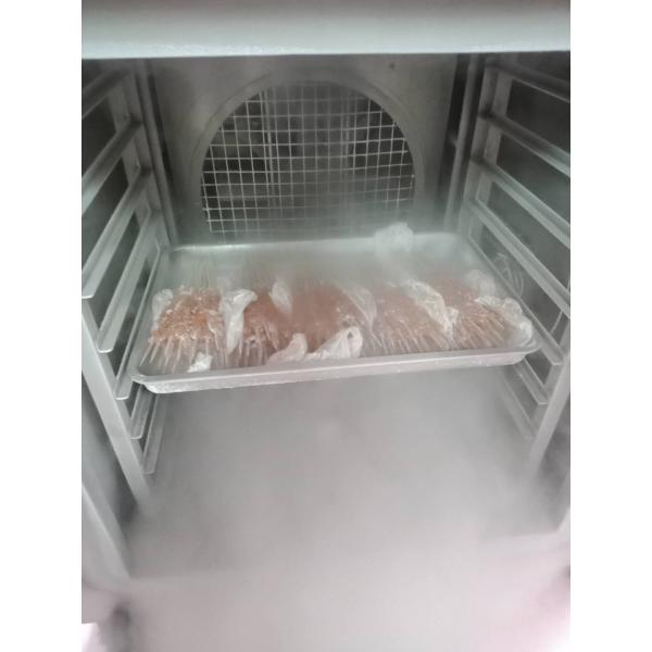 50kw Cryogenic Freezing Chamber 5 Bar Air Blast Tunnel Freezer 100kg/H