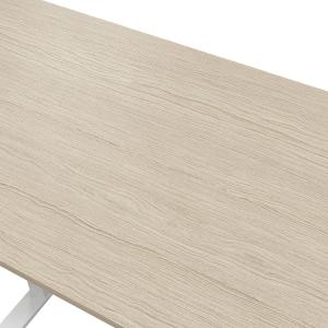 Customized Leisure Sit and Stand Up Desk with Double Motor Adjustable Height