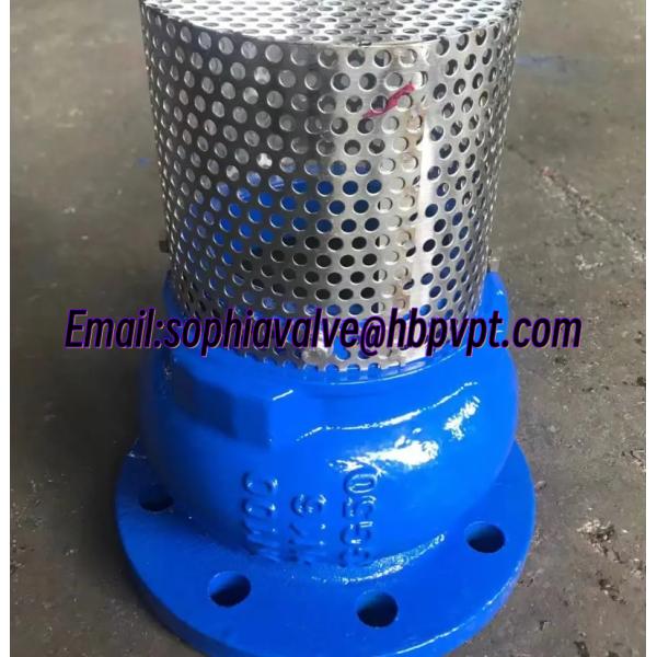 DN100 PN16 GGG50 ductile iron foot valve supplier