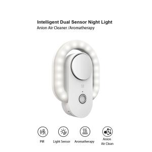 Anion purification night lamp