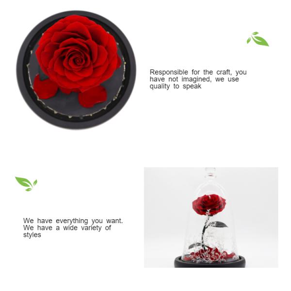 Dried Beauty And The Beast Red Rose In Glass Gift Suitable For Decor Purposes