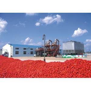 Saving Energy Tomato Ketchup Production Line , Flexible Tomato Paste Processing
