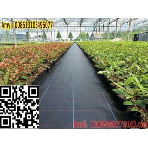 PP Woven geotextile Weed Control cover fabric Mat easy construction