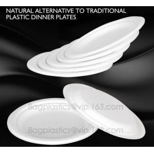 Compostable Clamshell Take Out Food Containers, Natural Disposable Bagasse, Eco