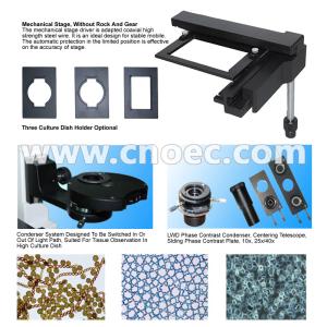 400X Plan Phase Contrast Inverted Optical Microscope Halogen Lamp Rohs CE A14
