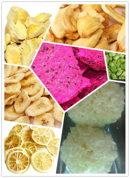 304 Stainless Steel Commercial Freeze Drying Equipment , Freeze Dried Food Machine