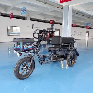 China Smooth Riding Two Seater Electric Trike 70 kg With Off Road Tires on sale