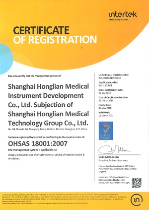 Transparent Intramuscular Injection Training Buttocks