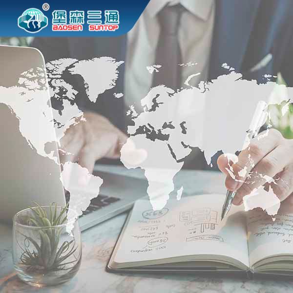 Overseas FBA Delivery Service , Freight Warehousing Services In Netherlands DDU