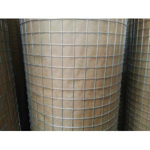 1/2 " Hot Dip Galvanized Welded Wire Mesh Rolls With 0.8 mm Wire For USA market