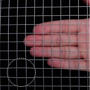 Cheap and high quality galvanized wire mesh corn mesh chicken fence rabbit fence