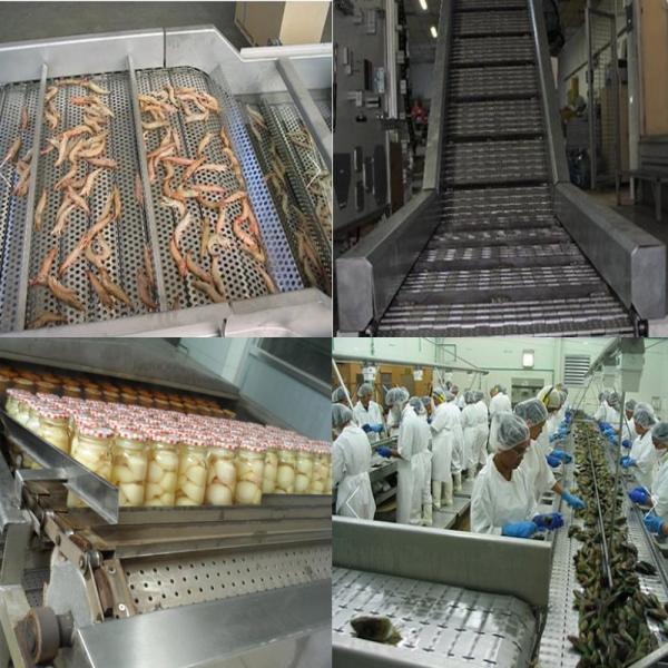 Stainless Steel 314 304 Wire Mesh Chain Link Perforated Flat Plate Slat Cooling Conveyor Belt for elevator