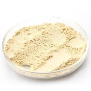 No essence no pigment instant lemon tea powder, lemon juice flavor powder new