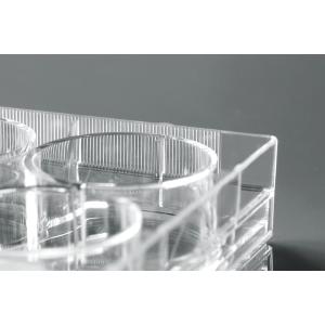 6 well 9.5cm Cell Culture Plates For P3 Laboratory