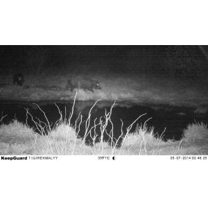 Scouting Trail Digital Infrared Hunting Camera / Hunter Cameras in Camouflage