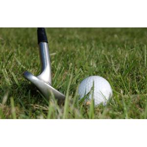 Artificial Grass carpet Waterproof Sports Flooring Golf Grass