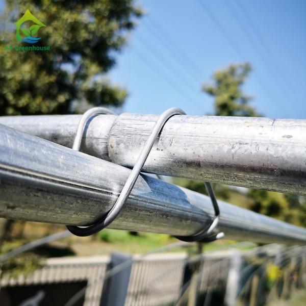 Nursery Custom Plastic Film Agricultural Single Span Greenhouse For Tomato Growing