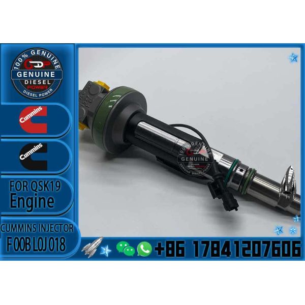 COMMON RAIL FUEL INJECTOR 4964171 4955525 F00BL0J018 F 00B L0J 018 Y431K05417 Y 431 K05 417