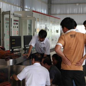 Vertical 100m Head Pelton Hydro Turbine 50HZ On Gird 5000RPM