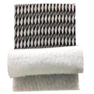 density Polyethylene Plastic 3D Composite Drainage Geonet for Environmental