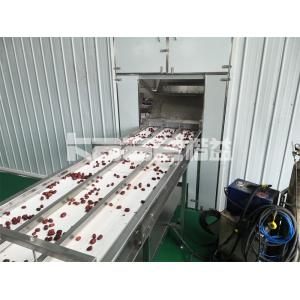 Large Capacity Continuous Conveyor Dryer Vegetable Dryer Machine For Asparaaus