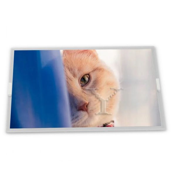 5.7-Inch WLED TFT LCD Display Module LQ057V3DG03 with Resolution Specific