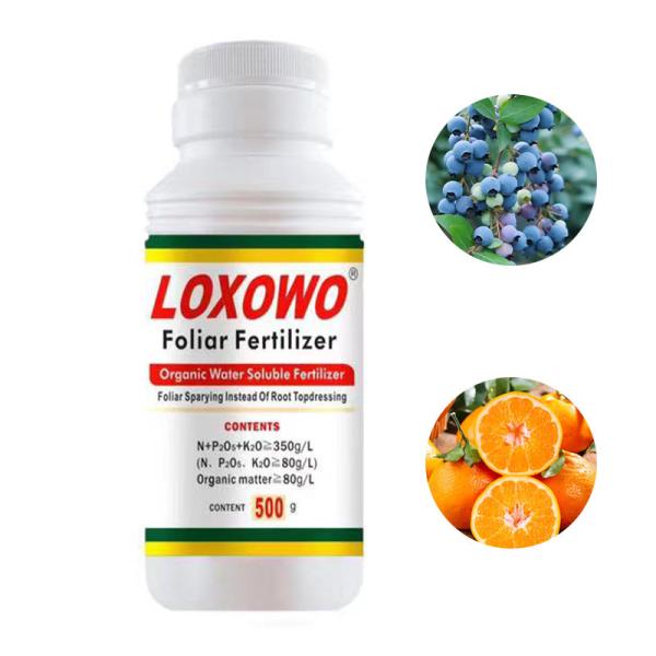 Fruit Melon Root Swollen Organic Water Soluble Vegetable Fertilizer Large