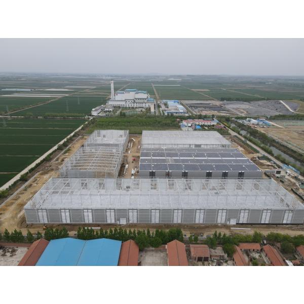 Bridge Prefabricated Steel Structure Shed Fabrication Metal Frame Company Metal Steel Structure Warehouse Building