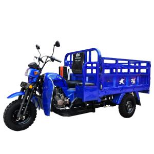 China 150cc 200cc Gasoline Motor Cargo Tricycle Prix/Three Motorcycle for 1 Passenger in India on sale