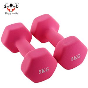 Strength Training Dumbbell For Ladies , Wear Resistant Cast Iron Dumbbells