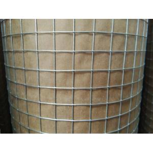 1/2 " Hot Dip Galvanized Welded Wire Mesh Rolls With 0.8 mm Wire For USA market