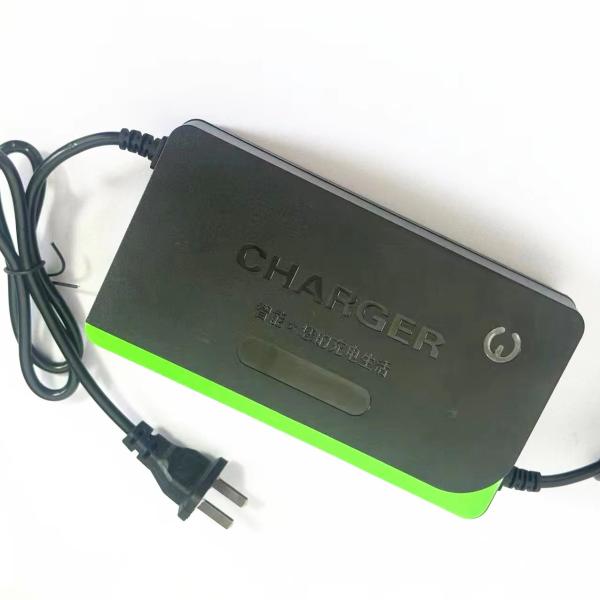 220V AC 200-240V AC 48V2A 48V12Ah Lead Acid Battery Charger With LED Charging