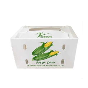 No pollution in fruits and vegetables Recyclable packaging box
