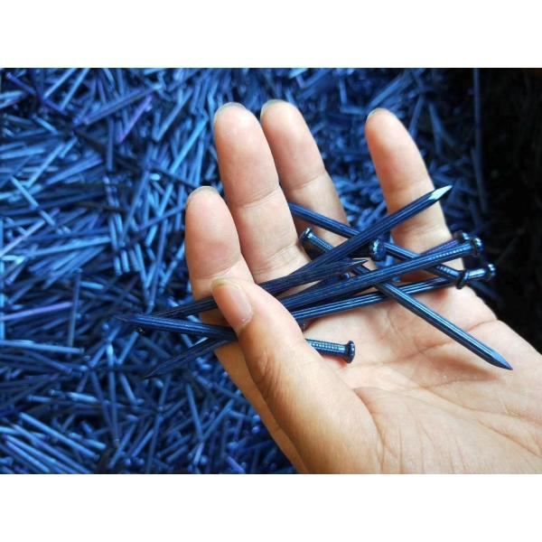 Blue Coated Concrete Nail