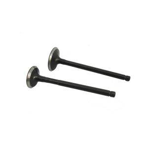 Scooter Intake and Exhaust Valve for Honda Vision NSC110, Lead 110, NHX110