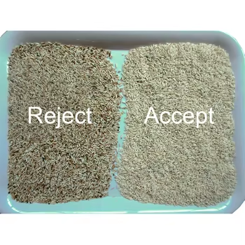 Walnuts Beans Color Sorter Machine Almonds Peanuts Separating Machine Remove Bad