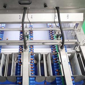 2.0 Tons High-Capacity Defect Sorting 8-Lane Palm Dates Sorting Machine